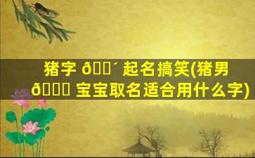 猪字 🐴 起名搞笑(猪男 🍀 宝宝取名适合用什么字)